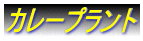 �J���[�v�����g
