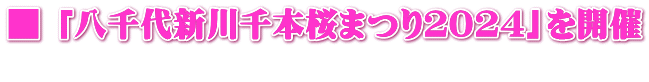 ■ 「八千代新川千本桜まつり２０２４」を開催   