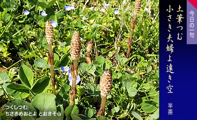 つくしつむ ちさきめおとよ とおきそら