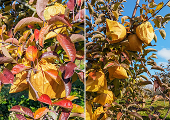 �g�t�����t