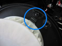 ボッチが無い？