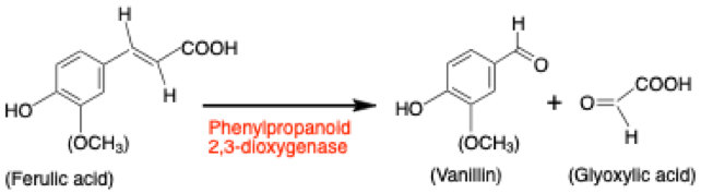 Vanilla Laboratory PLUS Phenylpropanoid 2,3-dioxygenase