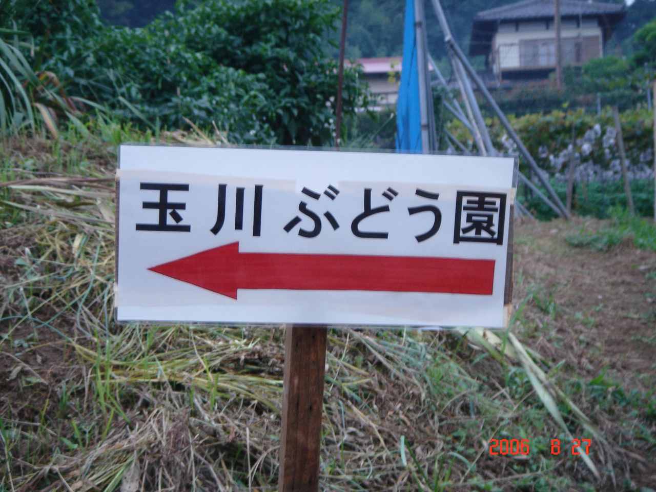 �݂������