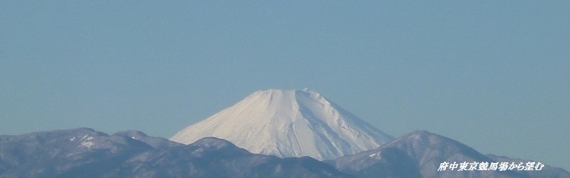 競馬場からの富士山
