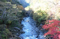 写真:河口湖